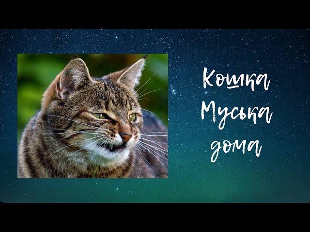 Муська.