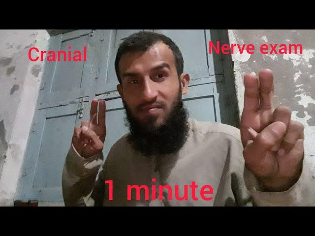 Asmr 1 minute cranial nerve exam in door