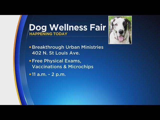 Dog Wellness Fair happening at Breakthrough Urban Ministries campus