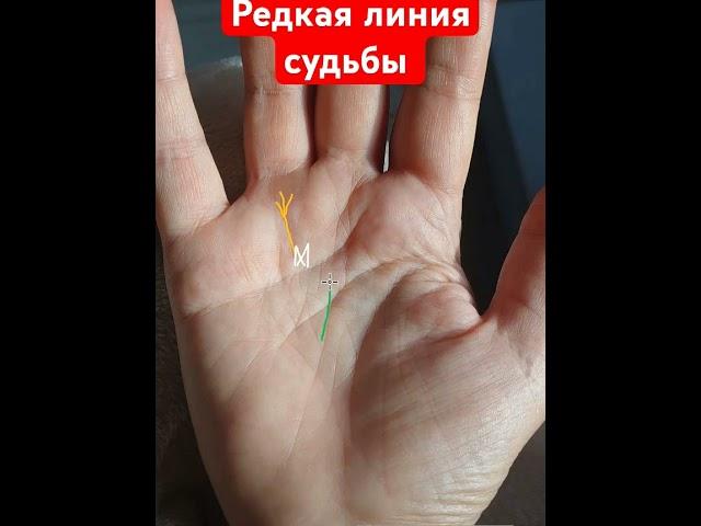 Линия судьбы #palmistry #магия #хиромантия