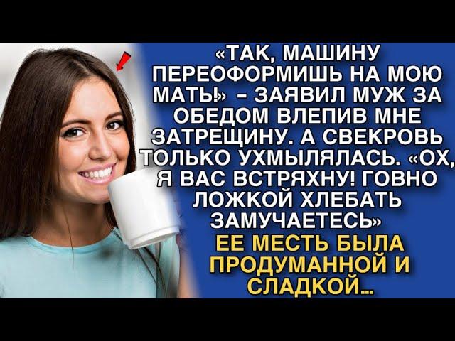 «ТАК, МАШИНУ ПЕРЕОФОРМИШЬ НА МОЮ МАТЬ!» - ЗАЯВИЛ МНЕ МУЖ ЗА ОБЕДОМ, СТУКНУВ КУЛАКОМ ПО СТОЛУ…