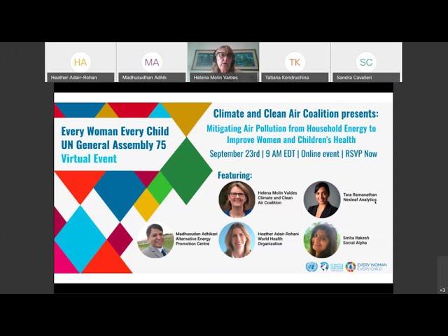 Mitigating air pollution from household energy to improve women and children's health (webinar)