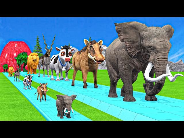 Paint & Animals Duck,Gorilla,Lion,Elephant,Cow,Sheep Fountain Crossing Transformation Animal Cartoon