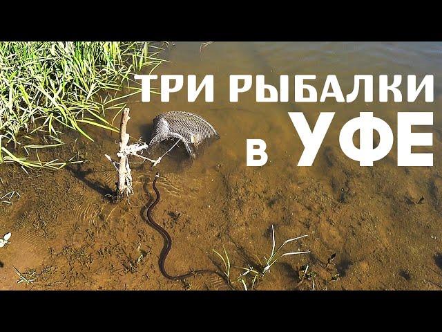 Активная Чехонь на Белой | Рыбалка на Деме | Пруд в Волково (2019)