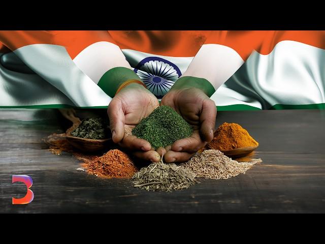 Inside Modi's Dangerous Bet on Alternative Medicine