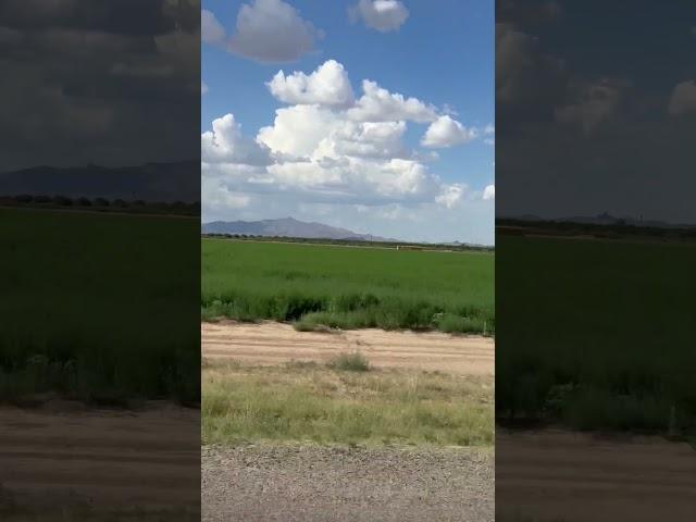 Luna county crops: Hay #newmexico #lunacounty #deming #chihuahuandesert #hay #bale #field