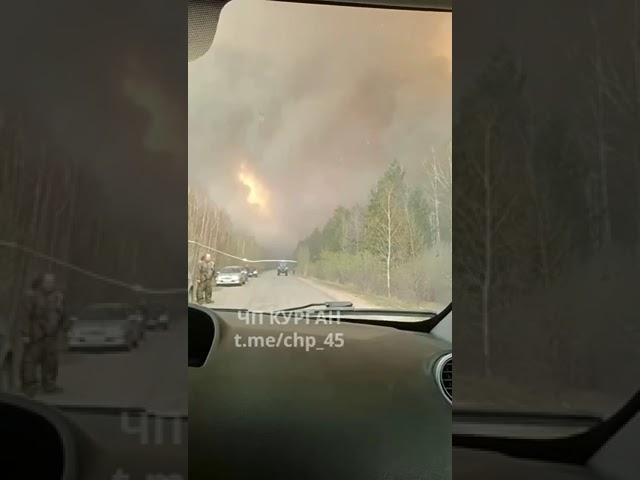 Пожар в Курганской области