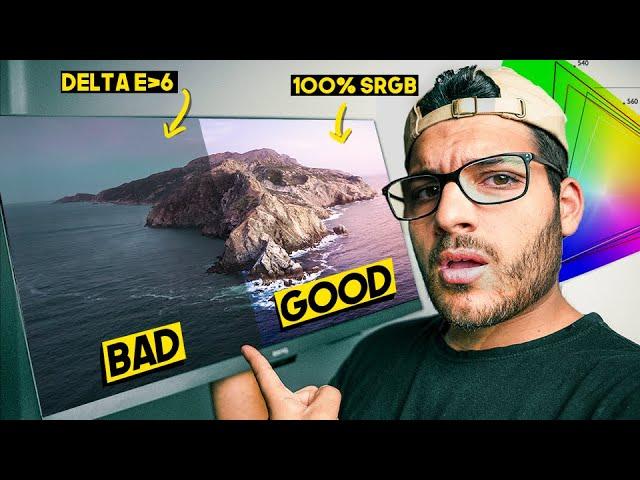 Best Color Accurate Monitors for Creatives in 2022 | What to Look For!