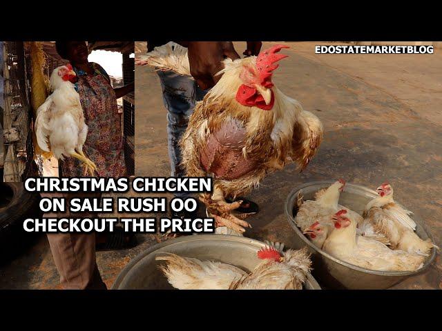 CHRISTMAS CHICKEN ON SALE IN BENIN CITY RUSH OO CHECKOUT THE PRICES OF CHICKEN SNAIL @EKIUWA MARKET