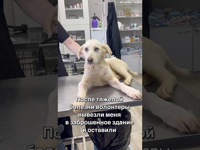 После болезни вывезли в заброшенное здание 