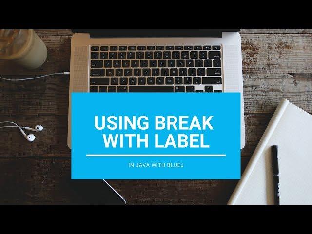 Using Break With Label - Core Java || With BlueJ