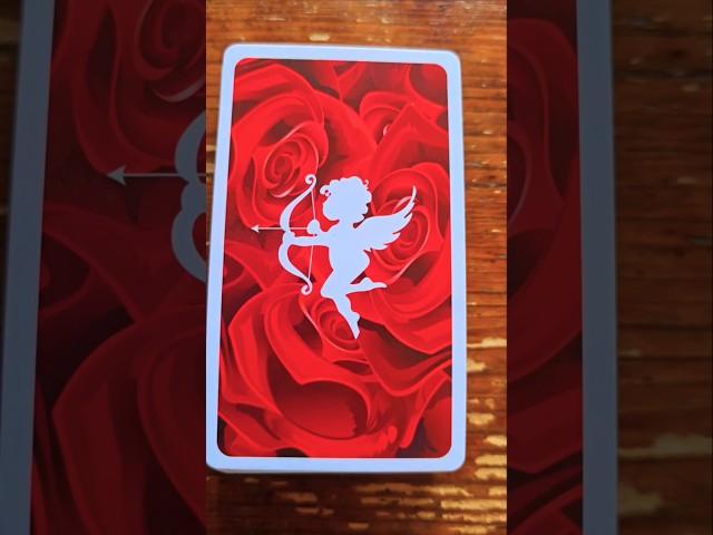 All you desire for this connection will work out