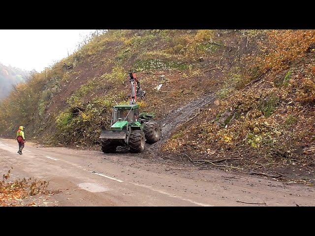 Rizikové kácení nad uzavřenou silnicí II/379, lesní technika, ruční i strojní kácení stromů #logging