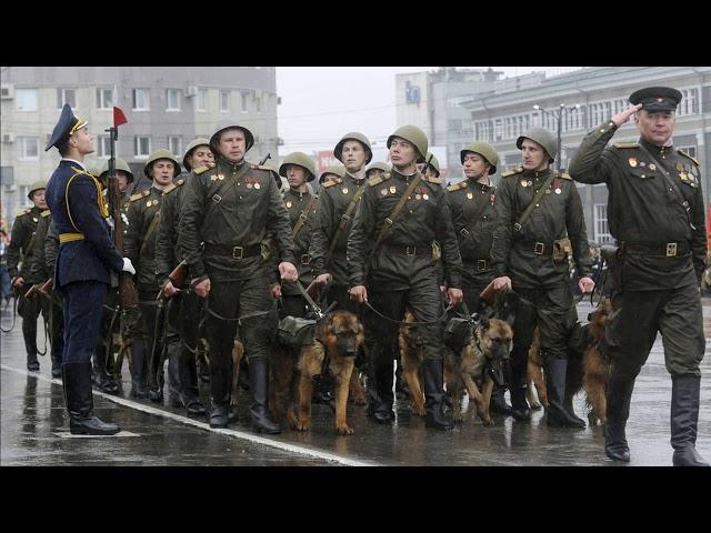 Зашел седой солдат в автобус