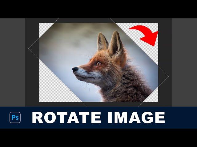 Quick and Easy Image Rotation in Photoshop