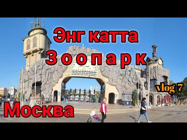 Moskvada eng katta Hayvonot bog'i  | Московский Зоопарк | Хайвонот олами 2020