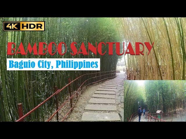 BAMBOO SANCTUARY - BAGUIO CITY PHILIPPINES