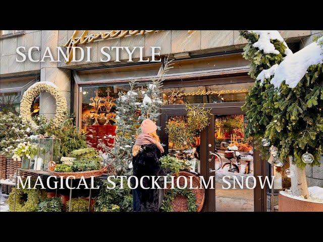 Christmas Magic in Stockholm Florist Shop Under the Snow