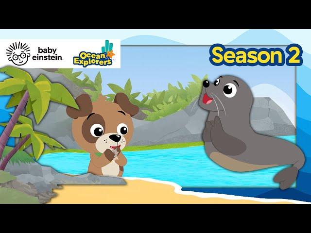 Let's Explore: Counting with a Sea Lion! | Ocean Explorers Season 2 | Baby Einstein | Education Show