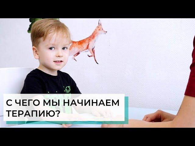 Первые программы: с чего мы начинаем | АВА-терапия (прикладной анализ поведения)