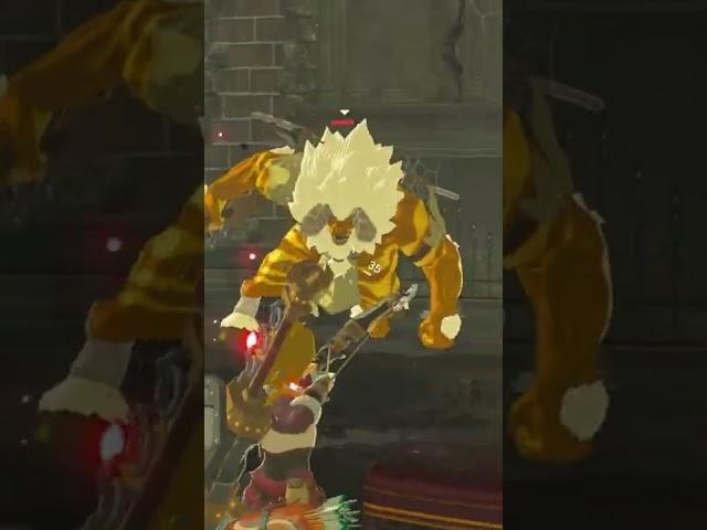 How To Kill ANY LYNEL Without Taking Damage (Zelda Breath of the Wild)