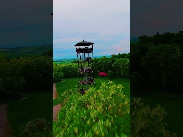 Spring is finally here! One more lookout twr Nedanov form FPV drone #shorts #spring #fpv