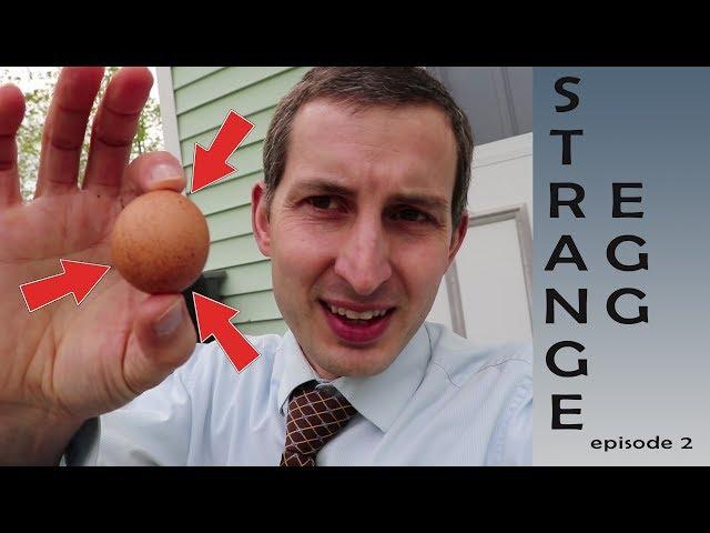 Strange Egg - episode 2: the fart egg