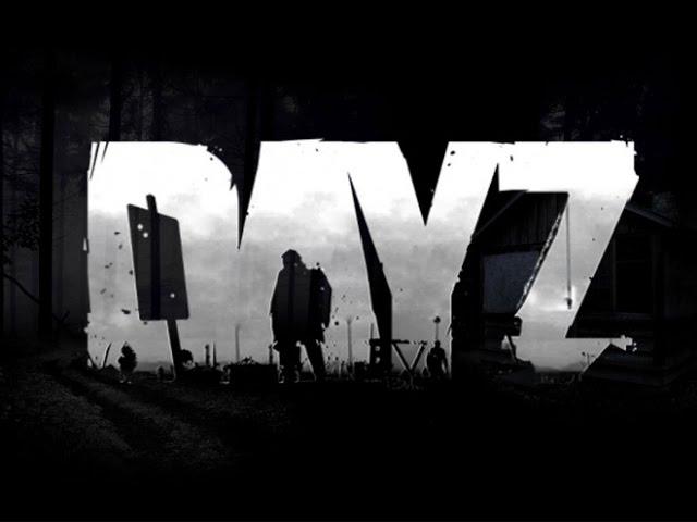 Dayz standalone Где найти крушения вертолетов и где найти СВД