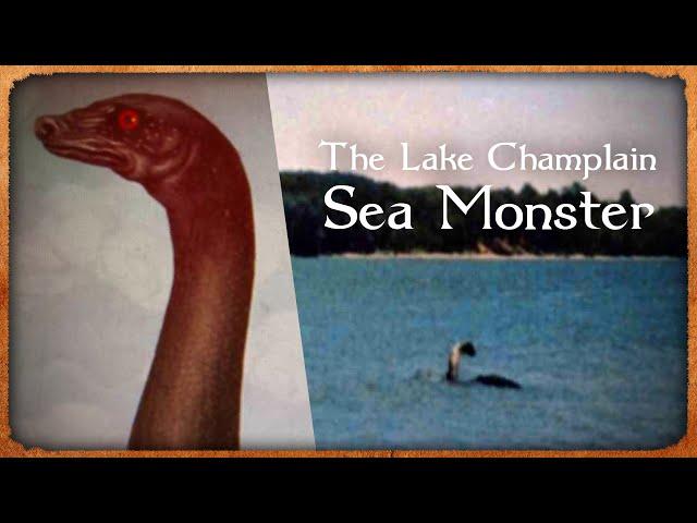 Lake Champlain Monster, Champ | Tales of Earth