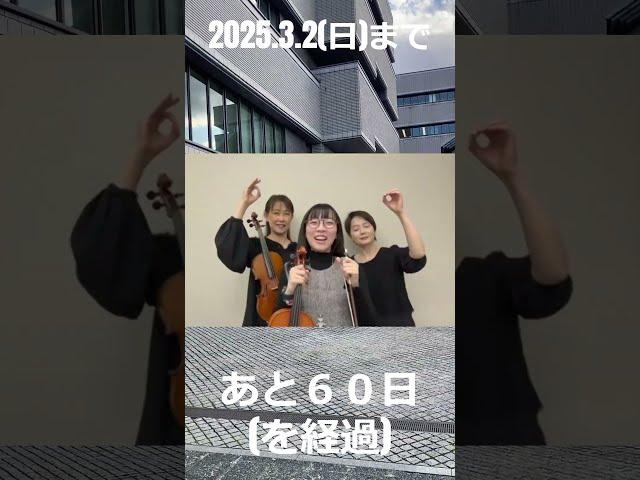【naomi SATAKE memorial】高松メサイア　まであと60日