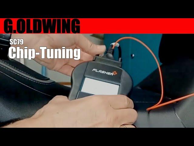 171 G.Oldwing - Chip-Tuning