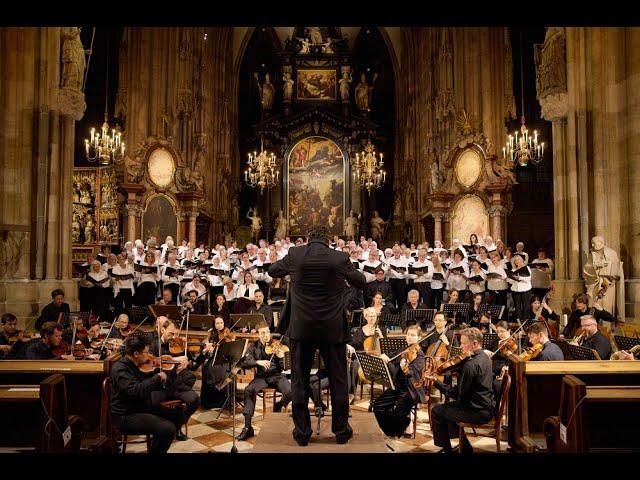 Vienna Philharmonic Christmas Concert at St. Stephen's Cathedral (Stephansdom)