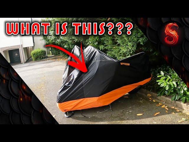 MASSIVE CHANNEL UPDATE | I passed my full A license and bought this motorcycle!!!