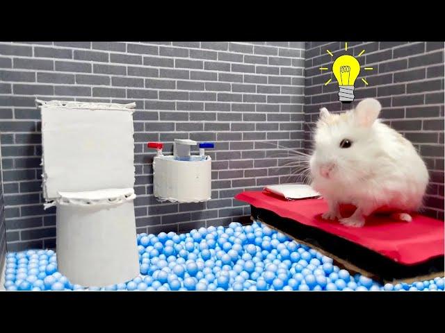 Hamster Escapes Prison Obstacle Course