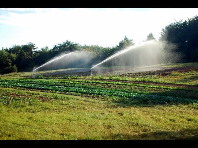 Sprinkler Installation