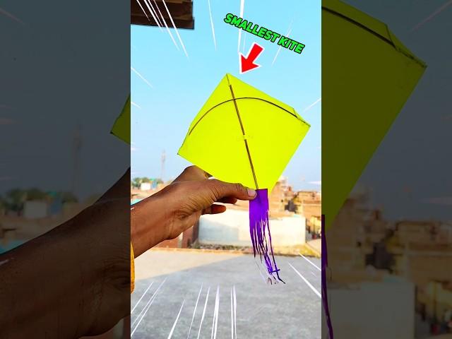 I made world's smallest kite 🪁 || #shorts #shortsfeed #experiment @CrazyXYZ