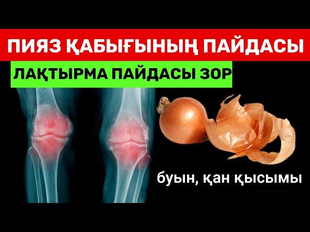 СІЗ БІЛМЕЙ ЛАҚТЫРЫП ЖҮРГЕН ПИЯЗ ҚАБЫҒЫНЫҢ ПАЙДАСЫ | ХАЛЫҚ ЕМІ