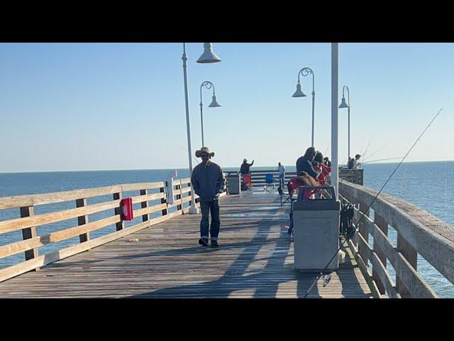 𝐀𝐝𝐯𝐞𝐧𝐭𝐮𝐫𝐞𝐬 𝐰𝐢𝐭 𝐈 𝐏𝐚𝐭𝐭𝐚 is live! Pier fishing