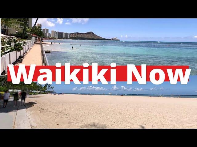 What the "BEACH" in front of your WAIKIKI hotel ACTUALLY looks like | Honolulu | OAHU