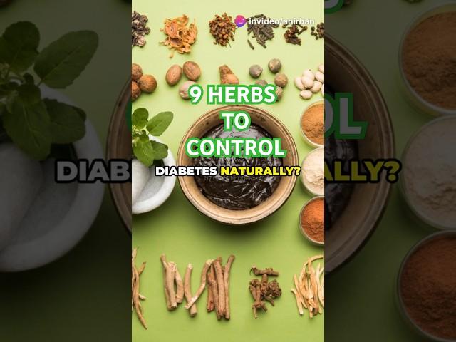 Control Diabetes Naturally! 9 Secret Herbs #herbs  #diabetescare #herbalremedies