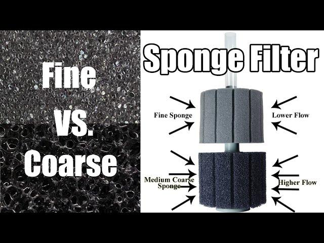 Sponge Filter Review- Coarse vs Fine Sponge Filter