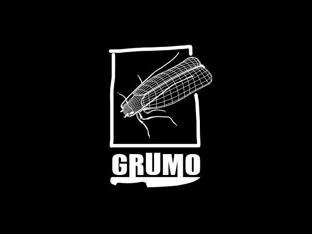 GRUMO Criatura Antisistema