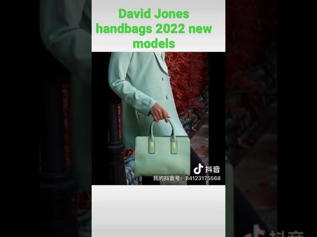 David Jones handbags