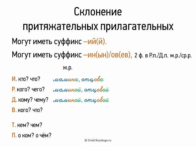 Склонение притяжательных прилагательных (6 класс, видеоурок-презентация)