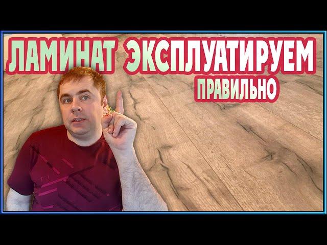 18 советов как сохранить ламинат после укладки!