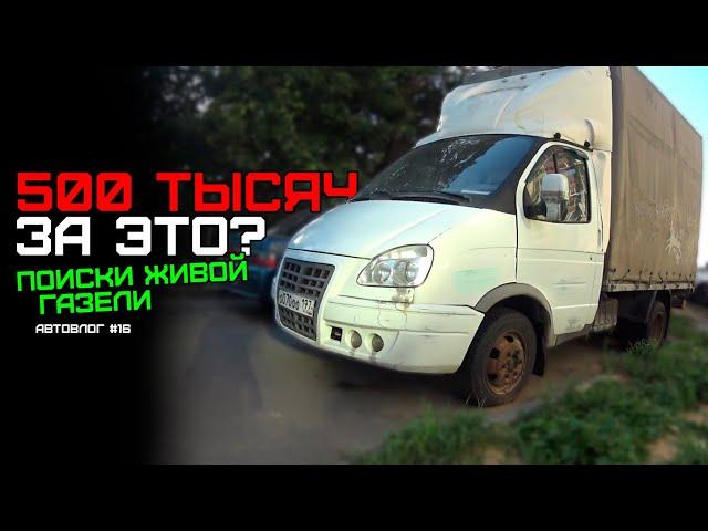 ГАЗЕЛЬ ЗА 500 ТЫСЯЧ! МЫ СОШЛИ С УМА? / Подбор ГАЗели до 500 тысяч / АвтоВлог #16