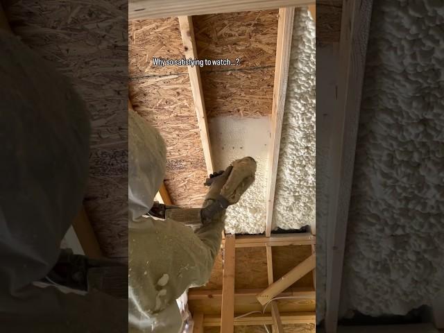 Open-cell Spray Foam = ️