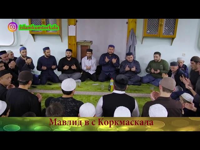 Мавлид с Коркмаскала  https://www.instagram.com/islamkumtorkala/