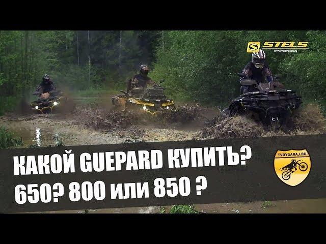 STELS ATV Guepard 650-800-850 comparison