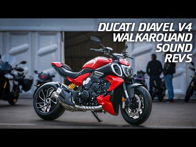 Ducati Diavel V4 | Start Up | Revs | Walkaround